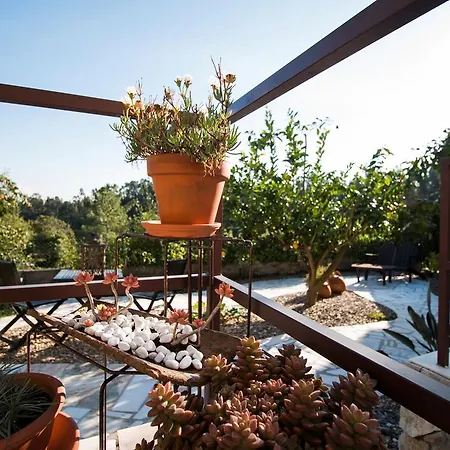 Bed & Breakfast Casa O Nascer Do Sol Penacova