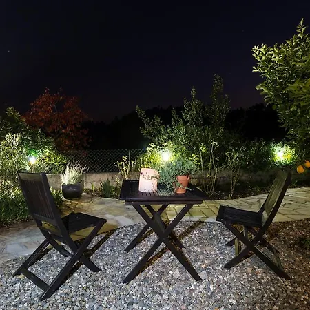 Casa O Nascer Do Sol Bed & Breakfast Penacova