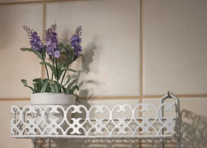 Casa O Nascer Do Sol Bed & Breakfast Penacova