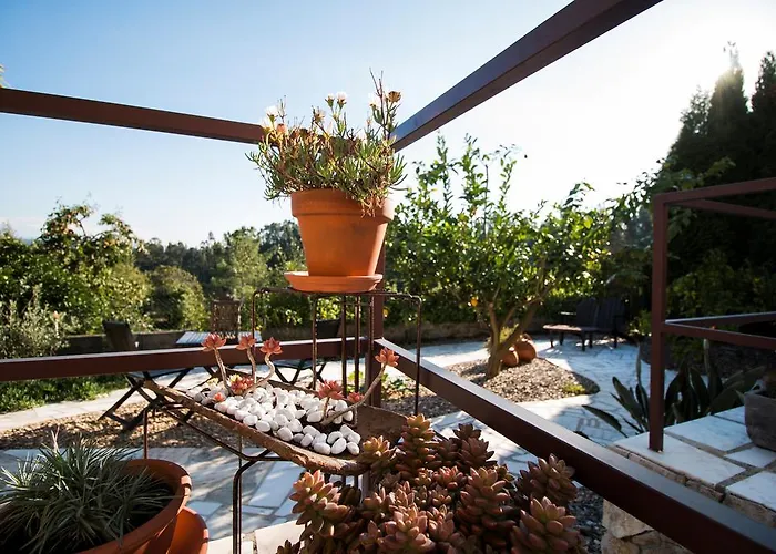 Bed & Breakfast Casa O Nascer Do Sol Penacova